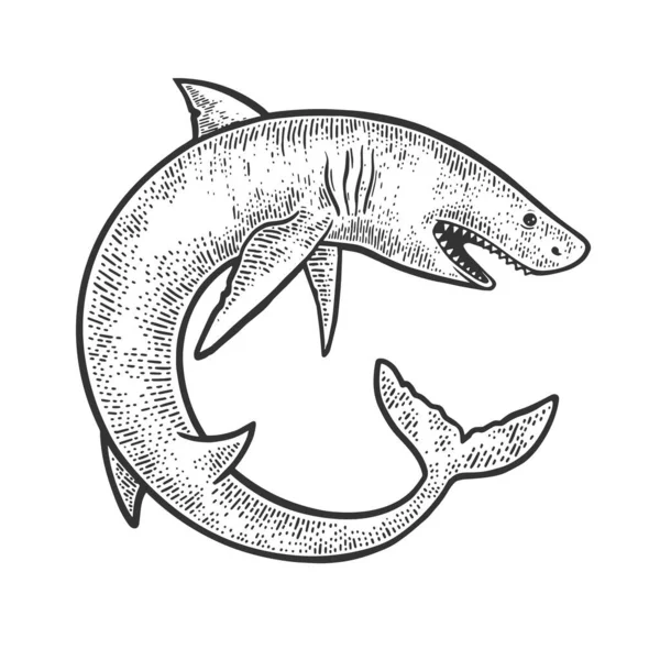 サメは円環のスケッチでベクトルイラストを彫る。Tシャツのアパレルプリントデザイン。スクラッチボードの模倣。黒と白の手描き画像. — ストックベクタ