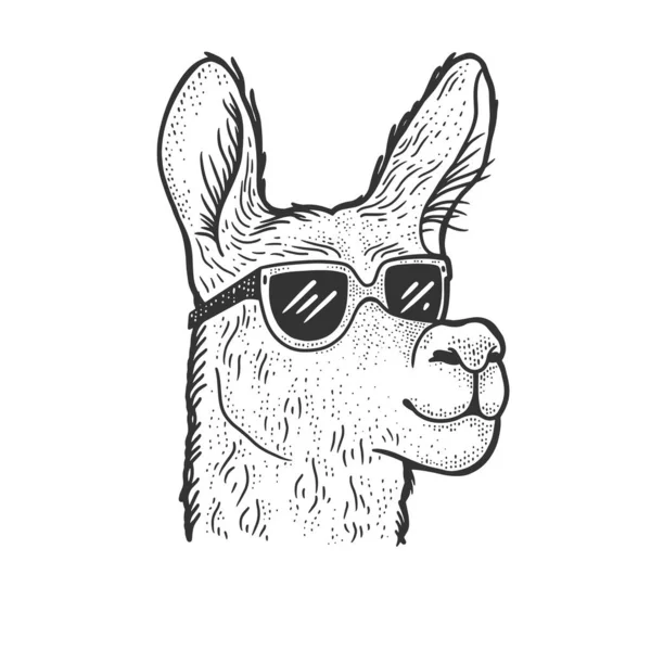 Lama mit Sonnenbrille skizziert Graviervektorillustration. T-Shirt-Print-Design. Rubbelbrett-Imitat. Handgezeichnetes Schwarz-Weiß-Bild. — Stockvektor