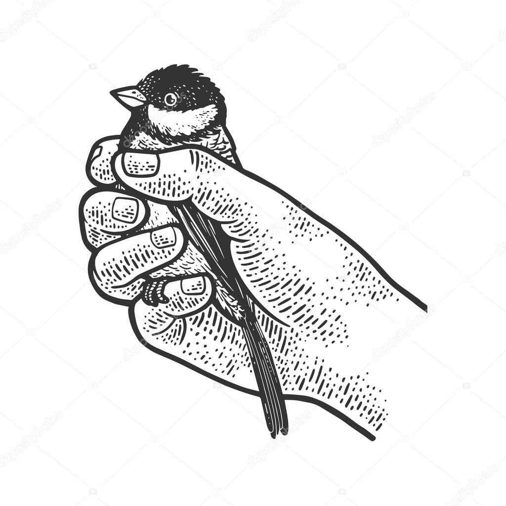tit bird in hand sketch engraving vector illustration. T-shirt apparel print design. Scratch board imitation. Black and white hand drawn image.