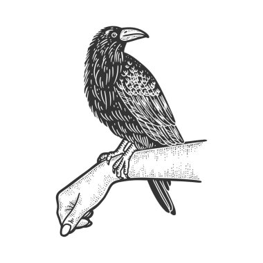 Kabartma vektör illüstrasyonundaki karga resmi. Tişört giysisi baskısı tasarımı. Çizik tahtası taklidi. Siyah beyaz el çizimi resim.