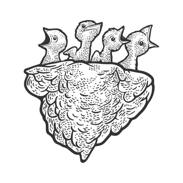 Poussins bébé hirondelle oiseau dans le croquis du nid gravure vectorielle illustration. T-shirt imprimé design. Imitation de carte à gratter. Image dessinée à la main noir et blanc. — Image vectorielle