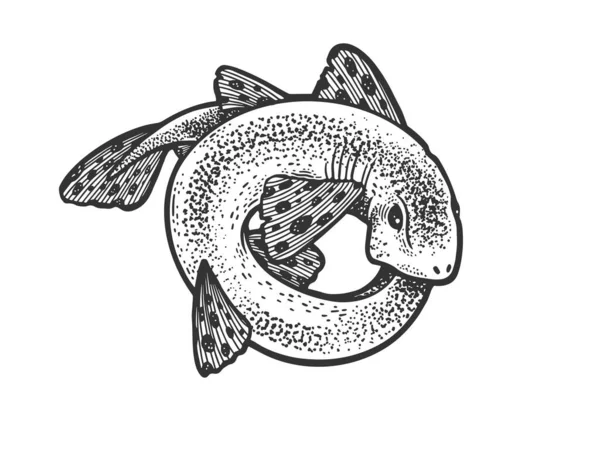 Tiburón catshark rodó en círculo anillo boceto grabado vector ilustración. Diseño de estampado de ropa de camiseta. Scratch board imitación. Imagen dibujada a mano en blanco y negro. — Vector de stock