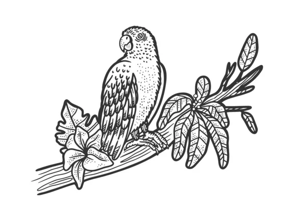 Pássaro papagaio em árvore ramo esboço gravura vetor ilustração. T-shirt design de impressão de vestuário. Imitação de raspadinha. Imagem desenhada à mão preto e branco. — Vetor de Stock