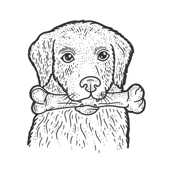 Cão com um osso em seus dentes esboço gravura vetor ilustração. T-shirt design de impressão de vestuário. Imitação de raspadinha. Imagem desenhada à mão preto e branco. —  Vetores de Stock