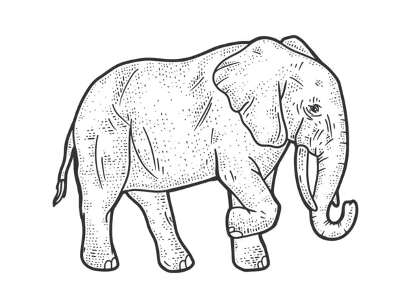 Elefante animal esboço gravura vetor ilustração. T-shirt design de impressão de vestuário. Imitação de raspadinha. Imagem desenhada à mão preto e branco. —  Vetores de Stock