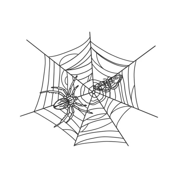 Spinne mit Motte in Web-Skizze Vektor Illustration. T-Shirt-Print-Design. Rubbelbrett-Imitat. Handgezeichnetes Schwarz-Weiß-Bild. — Stockvektor