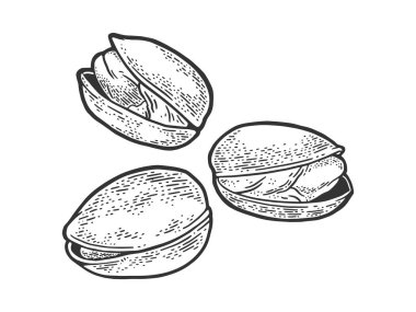 Fıstık ezmesi kabartma vektör çizimi. Tişört giysisi baskısı tasarımı. Çizik tahtası taklidi. Siyah beyaz el çizimi resim.