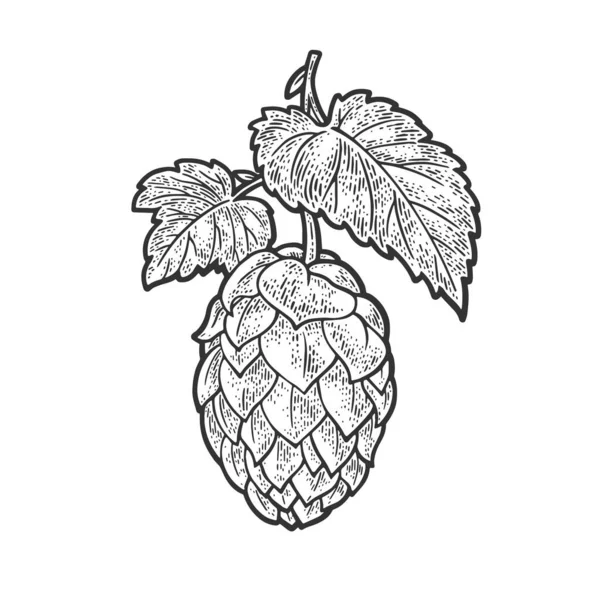 Beer hop cône croquis gravure vectorielle illustration. T-shirt imprimé design. Imitation de carte à gratter. Image dessinée à la main noir et blanc. — Image vectorielle