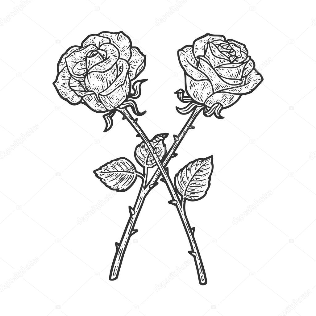 Crossed rose flowers sketch engraving vector illustration. T-shirt apparel print design. Scratch board imitation. Black and white hand drawn image.
