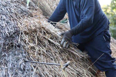 Bir zanaatkar sazdan çatıyı tamir ediyor.