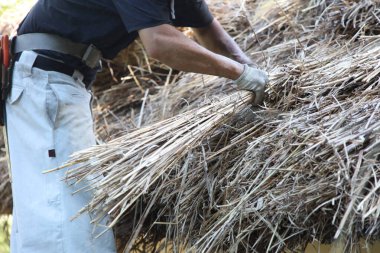 Bir zanaatkar sazdan çatıyı tamir ediyor.