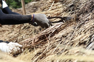 Bir zanaatkar sazdan çatıyı tamir ediyor.