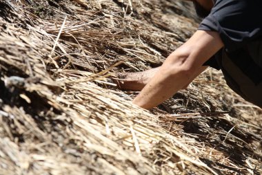 Bir zanaatkar sazdan çatıyı tamir ediyor.