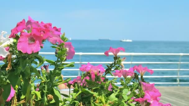 女性は背景に海と船の船の木製デッキに花の近くに日光浴に横たわっています。 — ストック動画