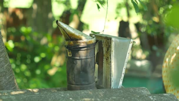 Bee maker av en rökkanal Summer rökaren anordning för att avvärja onda bin. — Stockvideo