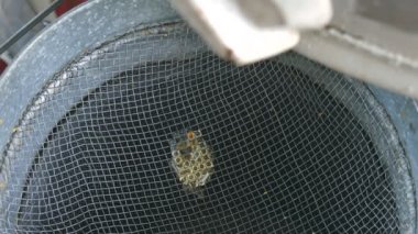 Tatlım extractor baldan beton besleme yoluyla süzülür