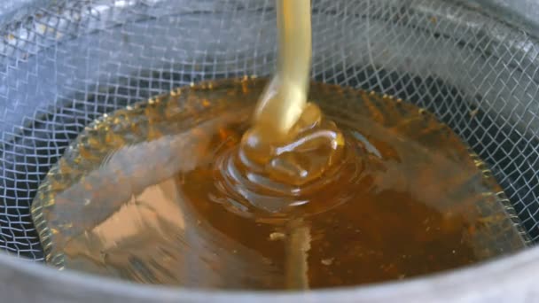 Honey from the honey extractor is filtered through the feed to concrete — Stock Video