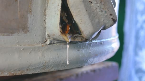 Honey from the honey extractor is filtered through the feed to concrete — Stock Video