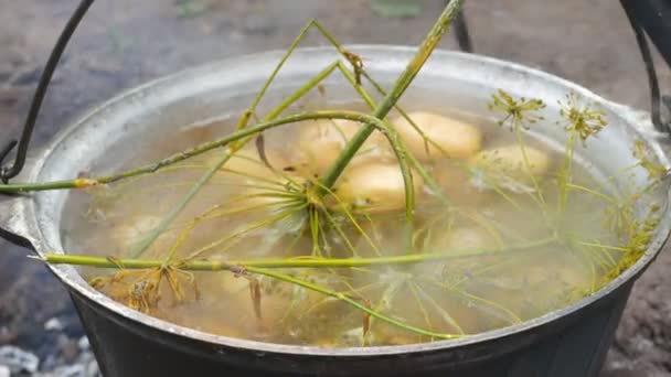 Koken buitenshuis aardappel en dille in gietijzeren ketel. Eten in een ketel in een brand. Koken voedsel in de natuur op de ketel. — Stockvideo