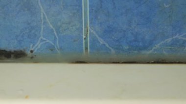 Küflü banyo sonunda duş kabin Temizleme.