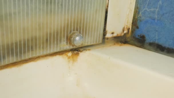 Reinigung schimmeligen Badezimmer Ende Duschkabine. — Stockvideo
