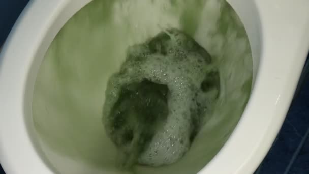 Eau sale, rouillée et verte dans les toilettes . — Video