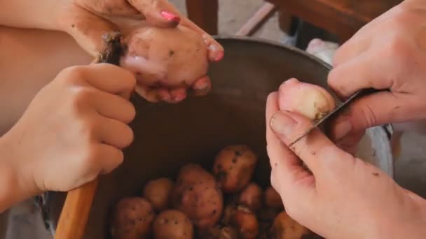 Die Mädchen von der Maniküre putzen die jungen Kartoffeln über einen Eimer. — Stockvideo