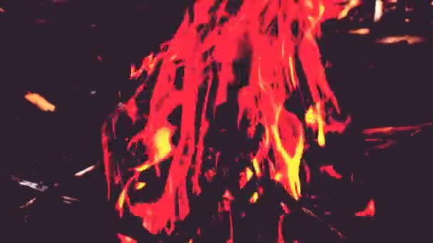 Fire under infrared light. Background — Stock Video