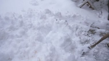 Adam kar kıpırdamak fırçalama. Adam yoldan kar kürekle