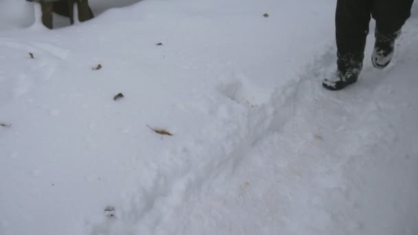Close-up de pés de homem andando sobre as montanhas na neve. Mans pernas cair através da neve . — Vídeo de Stock