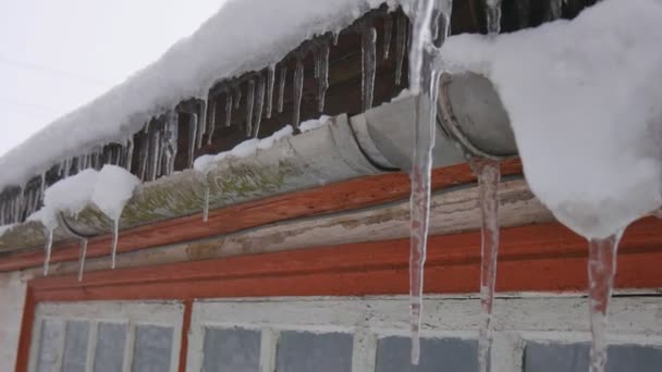 Gros plan sur les longues glaces qui pendent sur le toit d'une vieille maison quelque part dans la forêt d'hiver . — Video