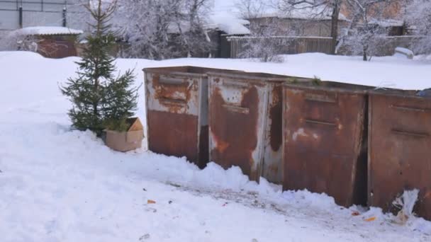 Відкинута ялинка після нового року на смітнику, зима, хуртовина . — стокове відео