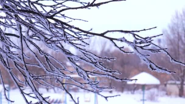 Ветки деревьев покрыты снегом в зимний день на фоне игровой площадки — стоковое видео