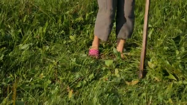 若い女性は、川のそばの夏の野原でサイスで緑の草を刈ります。美しい風景。現場で作業します。本物の田舎の女性. — ストック動画