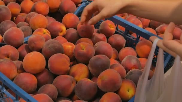 Cerca de las manos de la muchacha de recoger de un montón de melocotones exhibidos en un mercado local, ponerlos en una bolsa de plástico — Vídeos de Stock