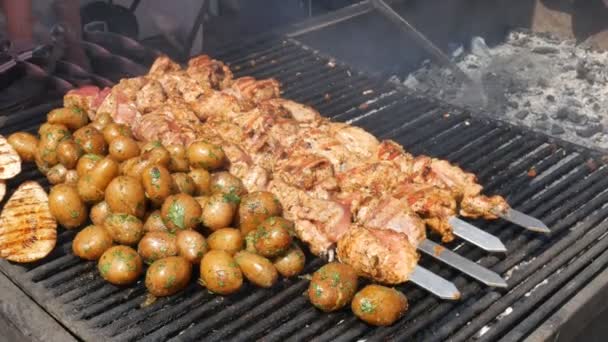Het proces van het koken van kebab en aardappelen op de kolen — Stockvideo