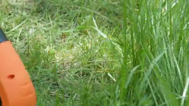 Siyah detay ile modern elektrikli turuncu budayıcı yeşil çim biçer. Yakın plan.. — Stok video