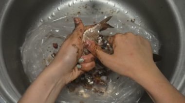 Bir kızın elleri canlı balıkları pullardan temizler. Dairedeki lavabonun üzerinden yakından bakar..