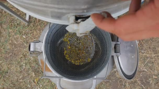 Мед з екстрактора меду фільтрується через корм. Медовий потік від екстрактора на друшляку . — стокове відео