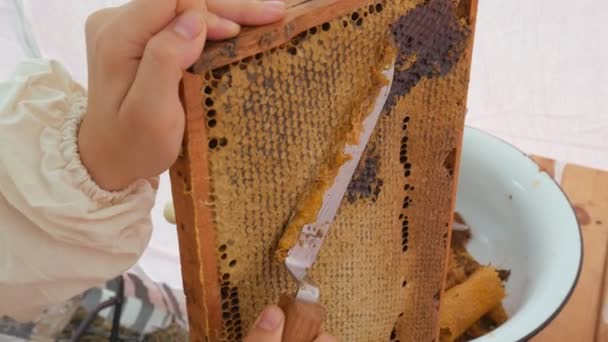 Imkerin entsiegelt Bienenwabe. Ein Close-up-Messer öffnet Waben mit Honig auf Rahmen aus Bienenstock. — Stockvideo