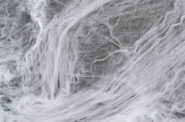 Örümcek ağı ile koyu arka plan, Cadılar Bayramı sembol siyah örümcekler