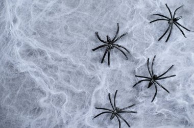 Örümcek ağı üzerinde karanlık örümcek ağı artalanları siyah örümcekler ile Cadılar Bayramı tatil sembolü