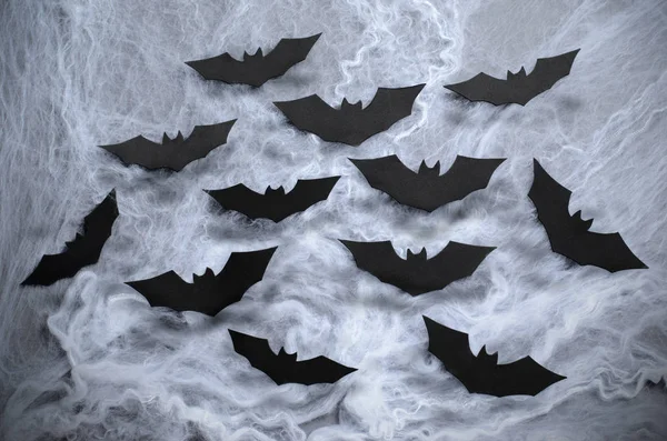 Chauves Souris Noires Sur Toile Araignée Fond Halloween Symbole Vacances — Photo