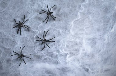 Örümcek ağı üzerinde karanlık örümcek ağı artalanları siyah örümcekler ile Cadılar Bayramı tatil sembolü