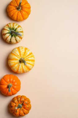 Farklı renkli Pumpkins, mevsim sonbahar Şükran günü ve Cadılar Bayramı arka plan