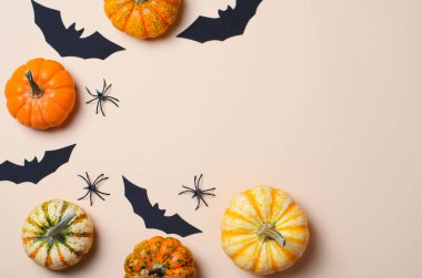 Cadılar Bayramı arka plan, farklı renkli Pumpkins, siyah yarasalar ve örümcekler, Cadılar Bayramı sembolleri kavramı