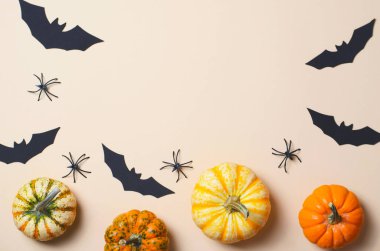 Cadılar Bayramı arka plan, farklı renkli Pumpkins, siyah yarasalar ve örümcekler, Cadılar Bayramı sembolleri kavramı