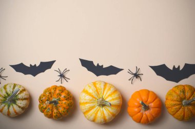 Cadılar Bayramı arka plan, farklı renkli Pumpkins, siyah yarasalar ve örümcekler, Cadılar Bayramı sembolleri kavramı
