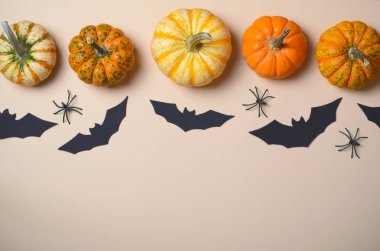 Cadılar Bayramı arka plan, farklı renkli Pumpkins, siyah yarasalar ve örümcekler, Cadılar Bayramı sembolleri kavramı