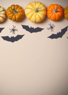 Cadılar Bayramı arka plan, farklı renkli Pumpkins, siyah yarasalar ve örümcekler, Cadılar Bayramı sembolleri kavramı